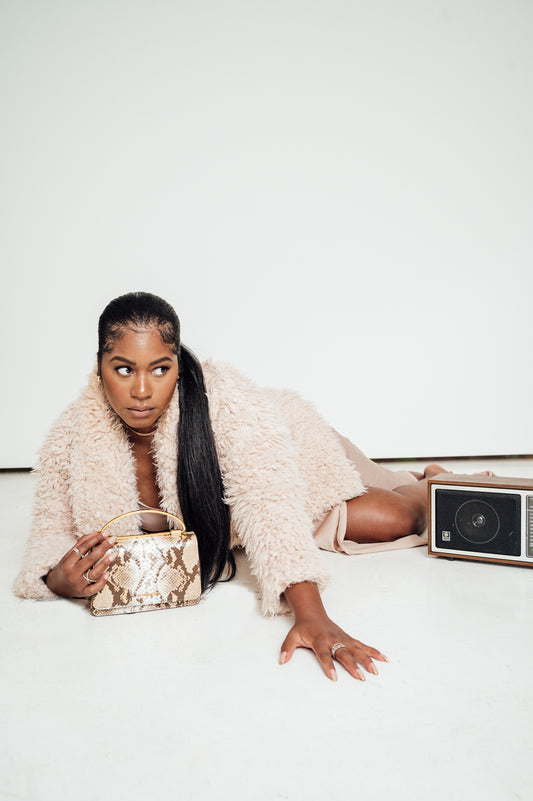 Winnie Mini Front Flap Top Handle bag in Snakeskin